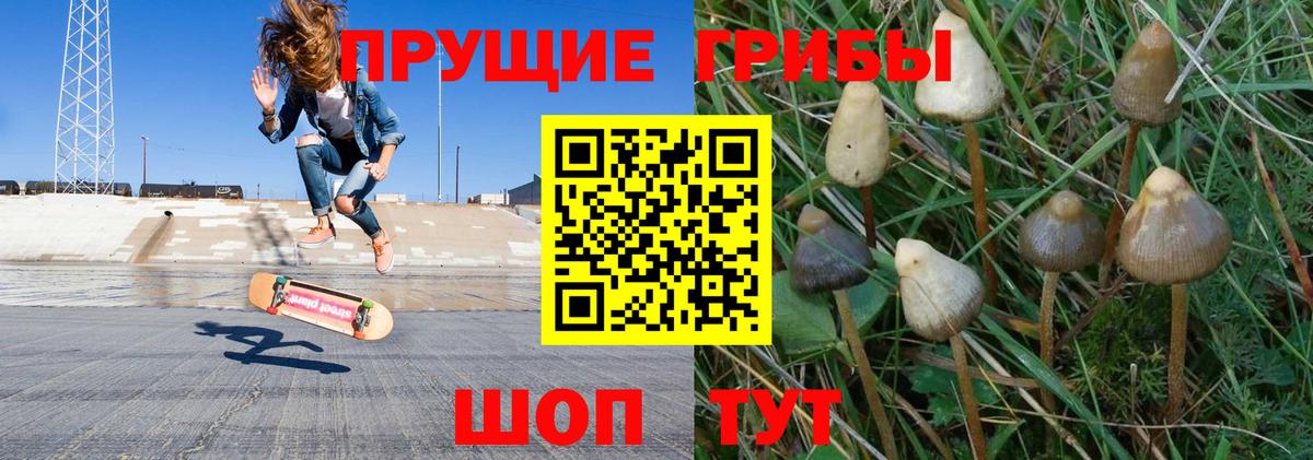 Галлюциногенные грибы Psilocybine cubensis  хочу наркоту  Ковров  Вход с VPN 