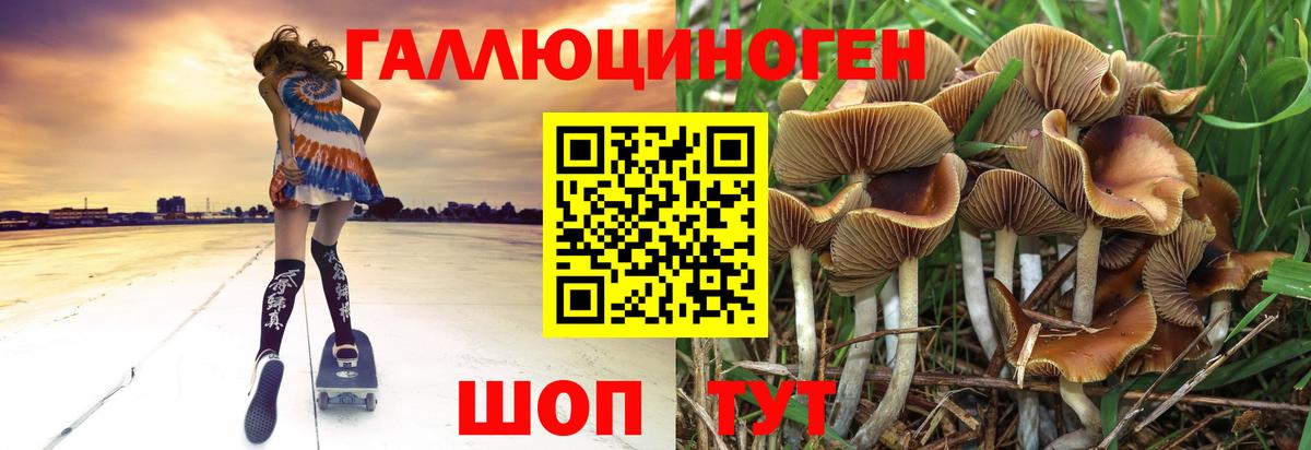 Псилоцибиновые грибы ЛСД Ковров